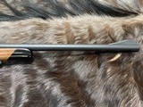 FREE SAFARI, NEW STEYR ARMS CL II HALF STOCK 270 WINCHESTER RIFLE CLII - LAYAWAY AVAILABLE - 7 of 23