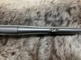 FREE SAFARI, NEW STEYR ARMS CL II SX HALF STOCK 6.5x55 SWEDE RIFLE CLII - LAYAWAY AVAILABLE - 8 of 19