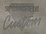 SPRINGFIELD ARMORY CUSTOM SHOP 1911 PROFESSIONAL LIGHT RAIL FBI HRT 45 ACP PC9111LR - LAYAWAY AVAILABLE - 3 of 23