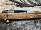 FREE SAFARI, NEW STEYR ARMS CLII FULL STOCK 6.5x55 SWEDE CL II - LAYAWAY AVAILABLE - 1 of 25