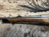 FREE SAFARI, NEW STEYR ARMS CL II HALF STOCK 6.5x55 SWEDE CLII - LAYAWAY AVAILABLE - 11 of 19