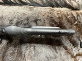 FREE SAFARI, NEW STEYR ARMS CARBON CLII 338 LAPUA MAGNUM RIFLE CL II SM 12 - LAYAWAY AVAILABLE - 19 of 21
