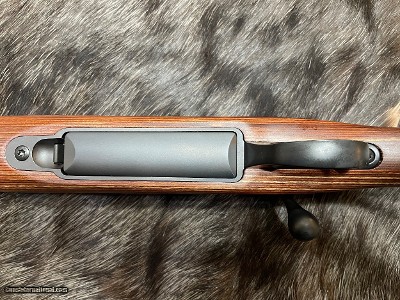 FREE SAFARI, NEW SAKO 85 BROWN BEAR 338 WIN MAG 21