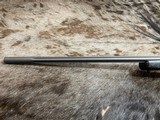 FREE SAFARI, NEW WEATHERBY MARK V ACCUMARK PRO 300 WBY MAG 24