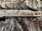 FREE SAFARI, NEW WEATHERBY MARK V ACCUMARK ELITE 6.5-300 WBY 26