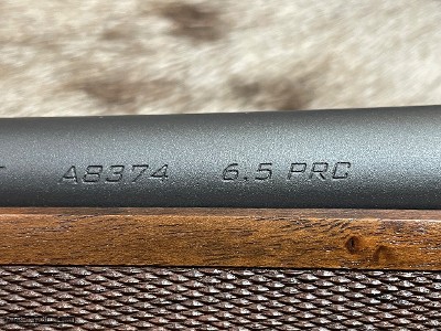 FREE SAFARI, NEW STRASSER RS 14 EVO STANDARD 6.5 PRC 24