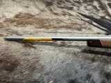 FREE SAFARI, NEW BROWNING X-BOLT WHITE GOLD MEDALLION 308 WINCHESTER 22