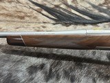 FREE SAFARI, NEW BROWNING X-BOLT WHITE GOLD MEDALLION 243 WINCHESTER 22