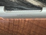 FREE SAFARI, NEW WINCHESTER MODEL 70 SUPER GRADE STAINLESS 243 WIN 22