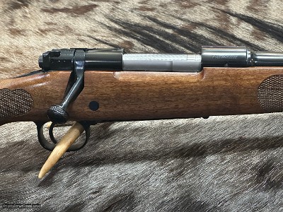 FREE SAFARI, NEW WINCHESTER MODEL 70 FEATHERWEIGHT 243 WINCHESTER 22