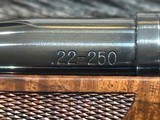 FREE SAFARI, NEW COOPER MODEL 54 CUSTOM CLASSIC 22-250 REM W/ UPGRADES M54 - LAYAWAY AVAILABLE - 14 of 20