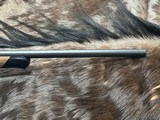 FREE SAFARI, NEW STEYR ARMS SM12 HALF STOCK RIFLE 308 WIN GREAT WOOD SM 12 - LAYAWAY AVAILABLE - 6 of 21