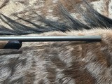 FREE SAFARI, NEW STEYR ARMS SM12 HALF STOCK RIFLE 308 WIN GREAT WOOD SM 12 - LAYAWAY AVAILABLE - 6 of 21