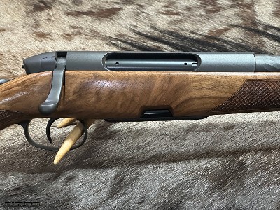 FREE SAFARI, NEW STEYR ARMS SM12 HALF STOCK 300 WIN MAG GREAT WOOD SM 12 - LAYAWAY AVAILABLE