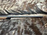 FREE SAFARI, NEW STEYR ARMS SM12 HALF STOCK 300 WIN MAG GREAT WOOD SM 12 - LAYAWAY AVAILABLE - 6 of 20