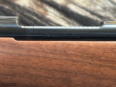 FREE SAFARI, NEW WINCHESTER MODEL 70 FEATHERWEIGHT 6.5 CREEDMOOR 22