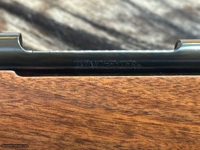 FREE SAFARI, NEW WINCHESTER MODEL 70 FEATHERWEIGHT 300 WSM (WIN SHORT MAG) 24