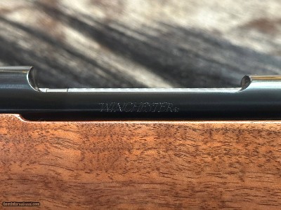 FREE SAFARI, NEW WINCHESTER MODEL 70 FEATHERWEIGHT 300 WIN MAG RIFLE 24