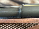 FREE SAFARI, NEW WINCHESTER MODEL 70 SUPER GRADE 300 WIN MAG 24