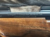 FREE SAFARI, COOPER NIGHTHAWK MODEL 52 VARMINTER 257 ROBERTS AI M52 ACKLEY IMPROVED - LAYAWAY AVAILABLE - 16 of 21