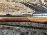 FREE SAFARI, NEW STEYR ARMS CL II FULL STOCK 243 WINCHESTER GOOD WOOD CLII LAYAWAY AVAILABLE - 16 of 24