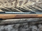 FREE SAFARI, NEW STEYR ARMS CL II FULL STOCK 243 WINCHESTER GOOD WOOD CLII LAYAWAY AVAILABLE - 5 of 24