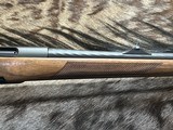 FREE SAFARI, NEW STEYR ARMS CL II FULL STOCK 243 WINCHESTER CLII - LAYAWAY AVAILABLE - 5 of 23