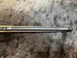 FREE SAFARI, NEW STEYR ARMS CL II FULL STOCK 243 WINCHESTER CLII - LAYAWAY AVAILABLE - 10 of 23