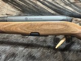 FREE SAFARI, NEW STEYR ARMS CL II FULL STOCK 243 WINCHESTER CLII - LAYAWAY AVAILABLE - 14 of 23