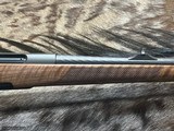 FREE SAFARI, NEW STEYR ARMS CL II FULL STOCK 30-06 SPRINGFIELD GREAT WOOD 20