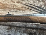 FREE SAFARI, NEW STEYR ARMS CL II FULL STOCK 30-06 SPRINGFIELD GREAT WOOD 20