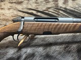 FREE SAFARI, NEW STEYR ARMS CL II FULL STOCK 30-06 SPRINGFIELD GREAT WOOD 20