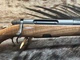 FREE SAFARI, NEW STEYR ARMS CL II FULL STOCK 30-06 SPRINGFIELD GREAT WOOD 20