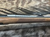 FREE SAFARI, NEW STEYR ARMS CL II FULL STOCK 30-06 SPRINGFIELD GREAT WOOD 20