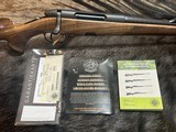 FREE SAFARI, NEW STEYR ARMS CL II FULL STOCK 30-06 SPRINGFIELD GREAT WOOD 20