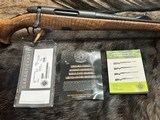 FREE SAFARI, NEW STEYR ARMS CL II FULL STOCK 308 WINCHESTER GOOD WOOD CLII - LAYAWAY AVAILABLE - 23 of 24