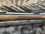 FREE SAFARI, NEW STEYR ARMS CL II FULL STOCK 308 WINCHESTER GOOD WOOD CLII - LAYAWAY AVAILABLE - 5 of 24