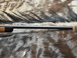 FREE SAFARI, NEW FIERCE RAGE SAFARI 300 WIN AAA+ TURKISH WALNUT STOCK 22