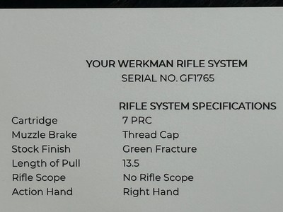 NEW GUNWERKS 7 PRC WERKMAN RIFLE, 22