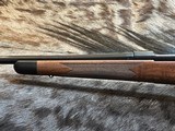 FREE SAFARI, NEW WINCHESTER MODEL 70 SUPER GRADE 243 WIN 22
