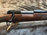 FREE SAFARI, NEW WINCHESTER MODEL 70 SUPER GRADE 243 WIN 22