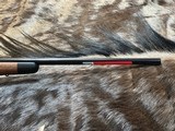 FREE SAFARI, NEW WINCHESTER MODEL 70 SUPER GRADE 243 WIN 22