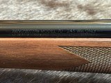 FREE SAFARI, NEW WINCHESTER MODEL 70 SUPER GRADE 243 WIN 22