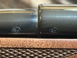 FREE SAFARI, NEW WINCHESTER MODEL 70 SUPER GRADE 243 WIN 22