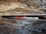 FREE SAFARI, NEW WINCHESTER MODEL 70 SUPER GRADE 300 WSM 24
