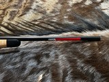 FREE SAFARI, NEW WINCHESTER MODEL 70 SUPER GRADE MAPLE 308 WIN 22