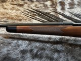 FREE SAFARI, NEW WINCHESTER MODEL 70 SUPER GRADE 300 WSM 24