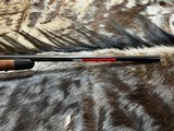 FREE SAFARI, NEW WINCHESTER MODEL 70 SUPER GRADE 300 WSM 24