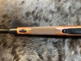 FREE SAFARI, NEW WINCHESTER MODEL 70 SUPER GRADE 243 Win 22