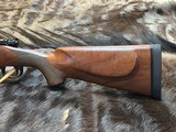 FREE SAFARI, NEW WINCHESTER MODEL 70 SUPER GRADE 243 Win 22